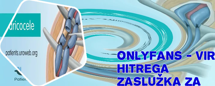 Kako zaslužiti denar preko spleta